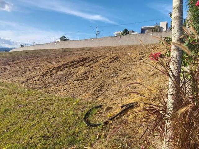 #62 - Área para Venda em São José dos Campos - SP - 2